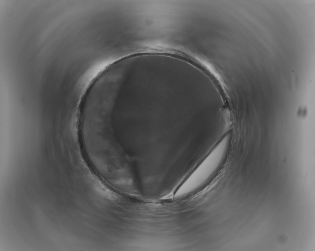 X0000090911463200708131403