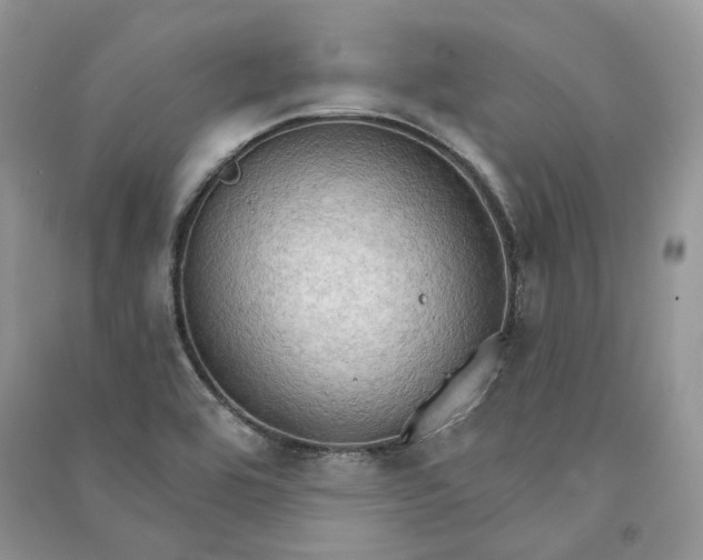 X0000090911464200708131403