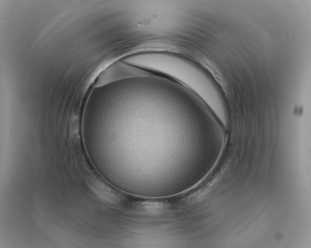 X0000090911465200708131402