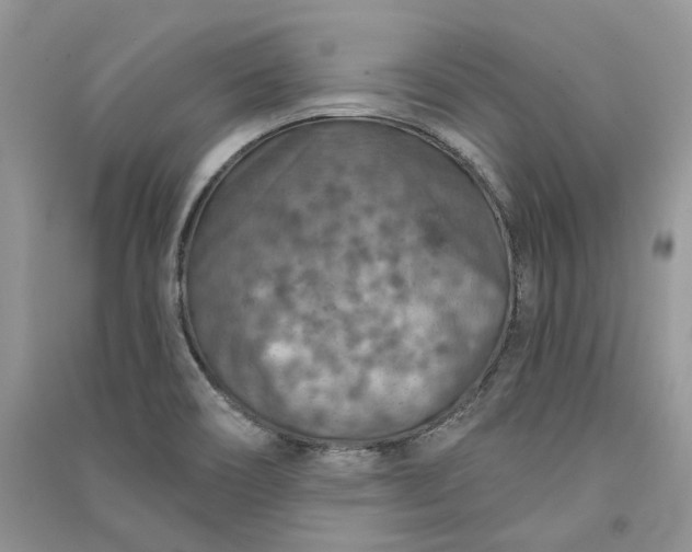 X0000090911466200708131402