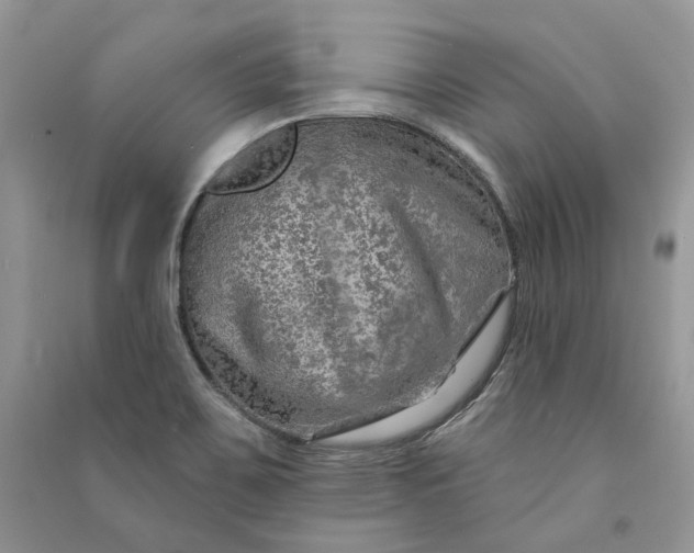 X0000090911467200708131402