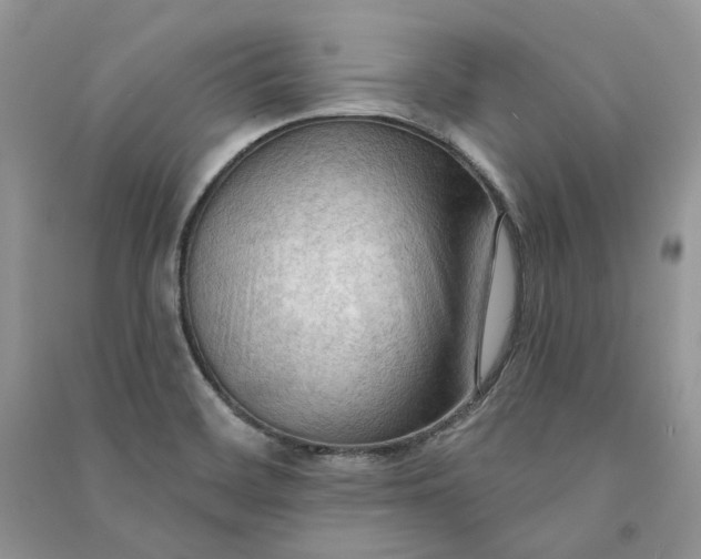 X0000090911468200708131402