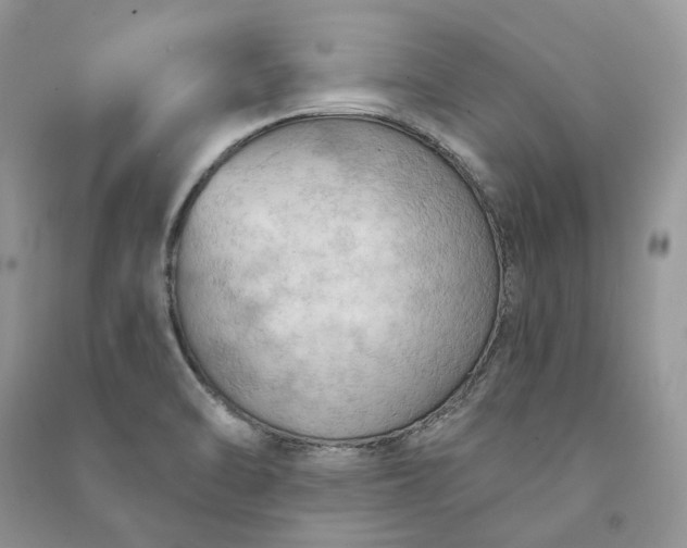 X0000090911470200708131402