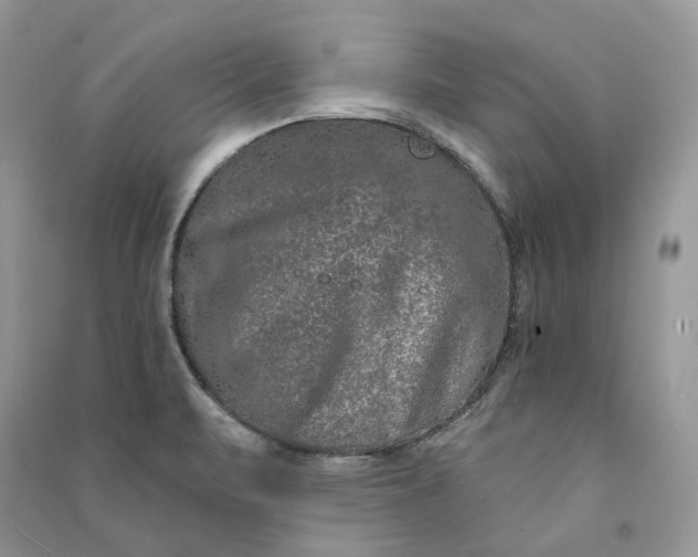 X0000090911471200708131402