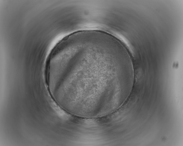 X0000090911472200708131402