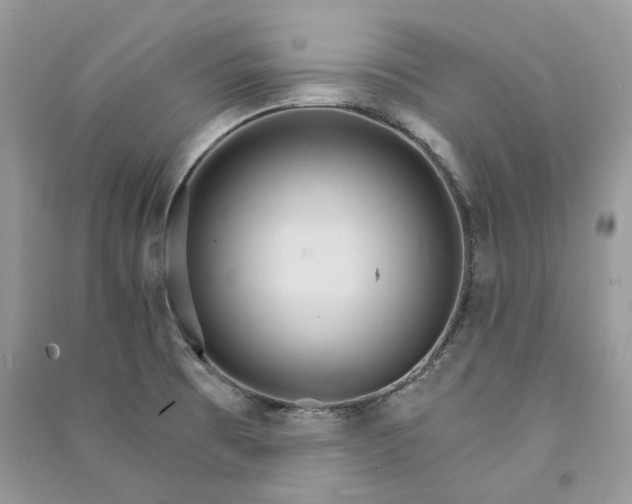 X0000090911473200708131402