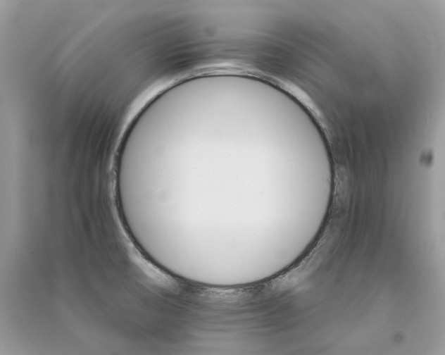 X0000090911474200708131402