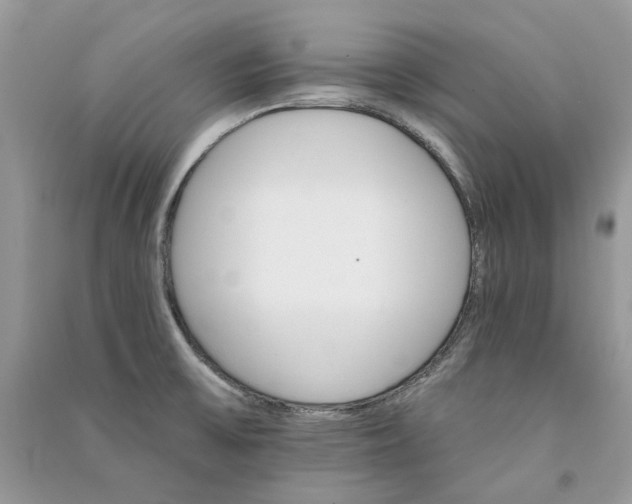 X0000090911475200708131402