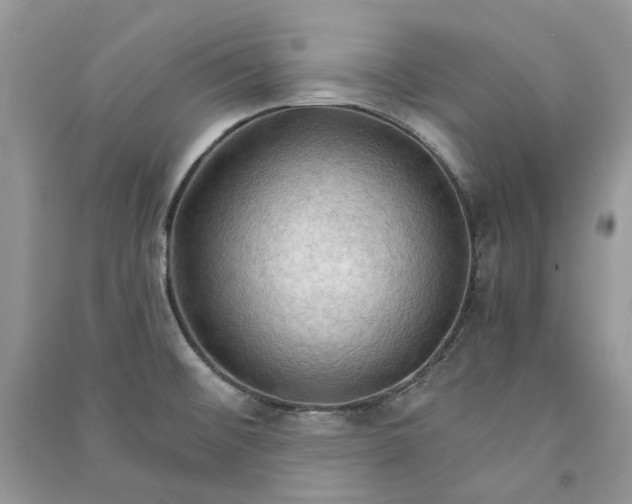 X0000090911476200708131402