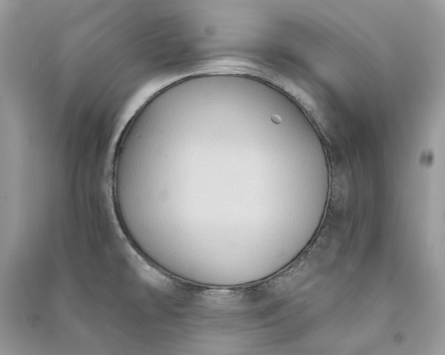 X0000090911478200708131402