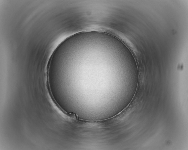 X0000090911479200708131402