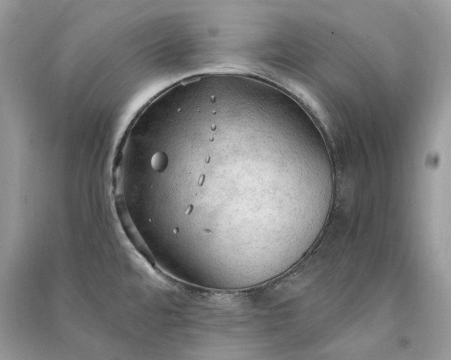 X0000090911480200708131402