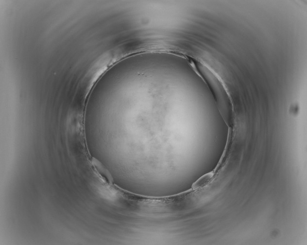 X0000090911481200708131402