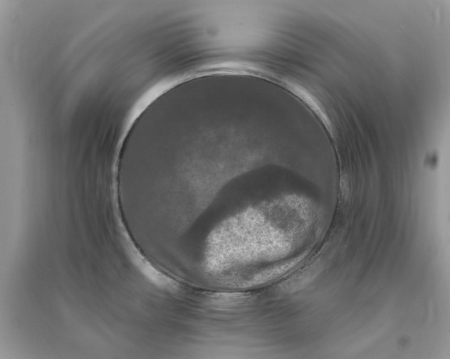 X0000090911482200708131402