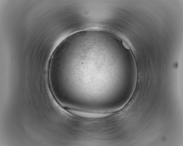 X0000090911483200708131402