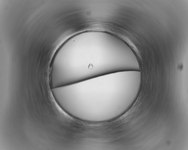 X0000090911484200708131402