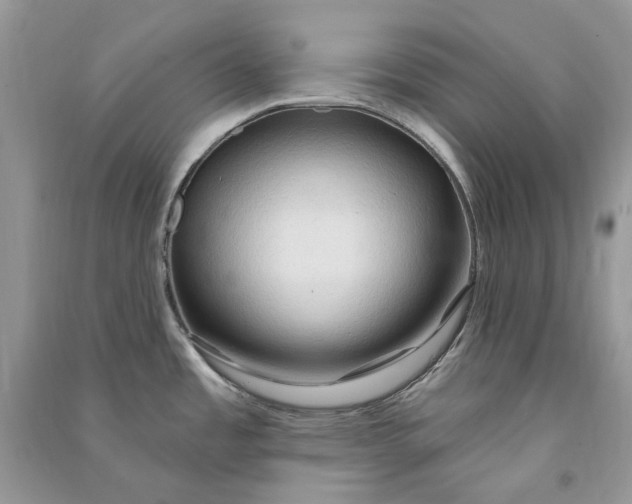 X0000090911485200708131402