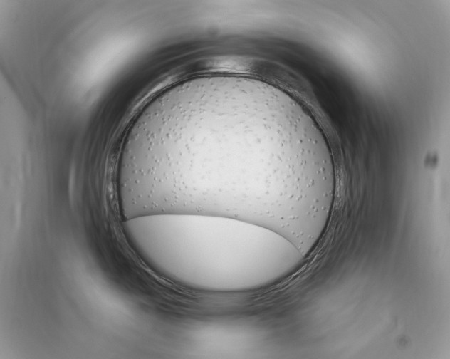 X0000090911487200708131402