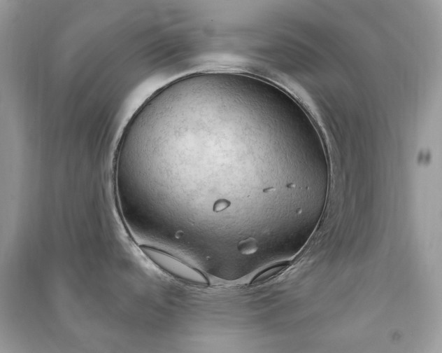 X0000090911488200708131402