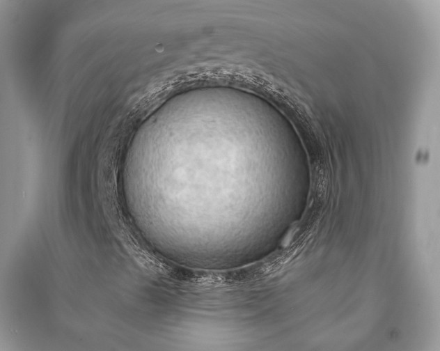 X0000090911489200708131402