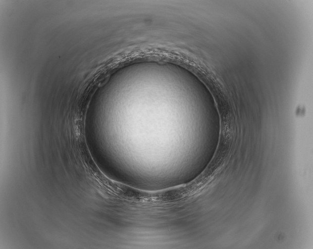 X0000090911490200708131402