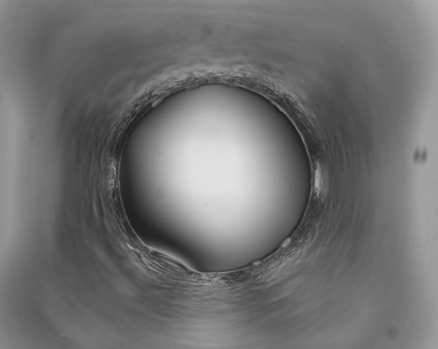 X0000090911492200708131402