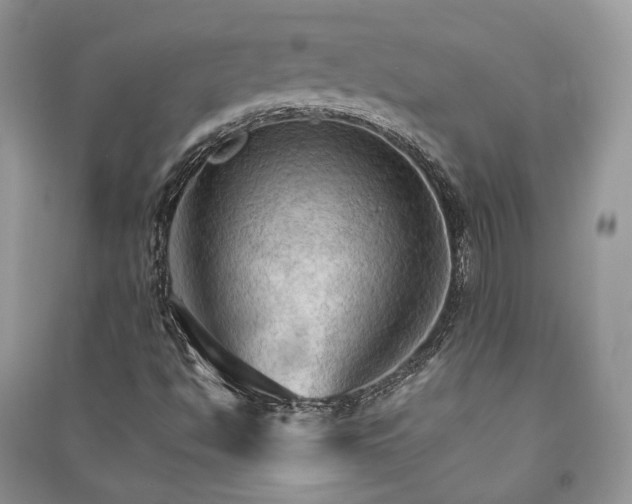 X0000090911494200708131402