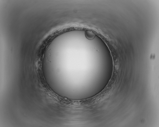 X0000090911495200708131402