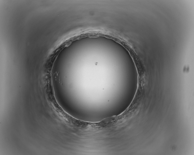 X0000090911496200708131402