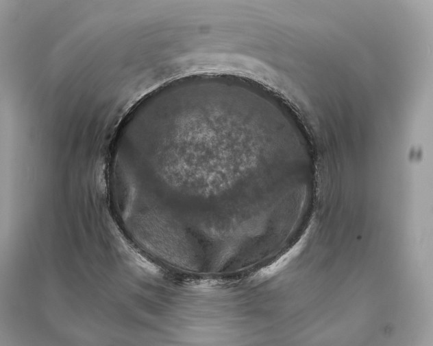 X0000090911497200708131402