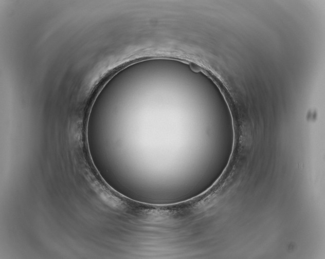 X0000090911499200708131402