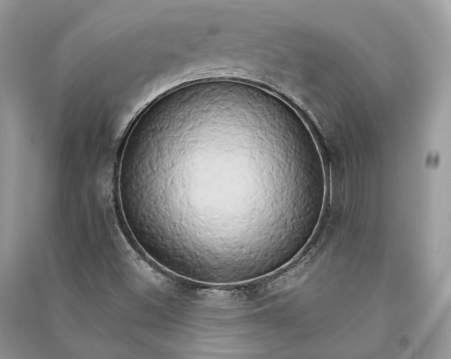 X0000090911500200708131402