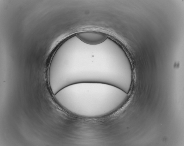 X0000090911501200708131402