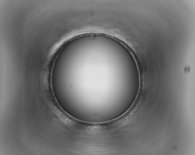 X0000090911502200708131402