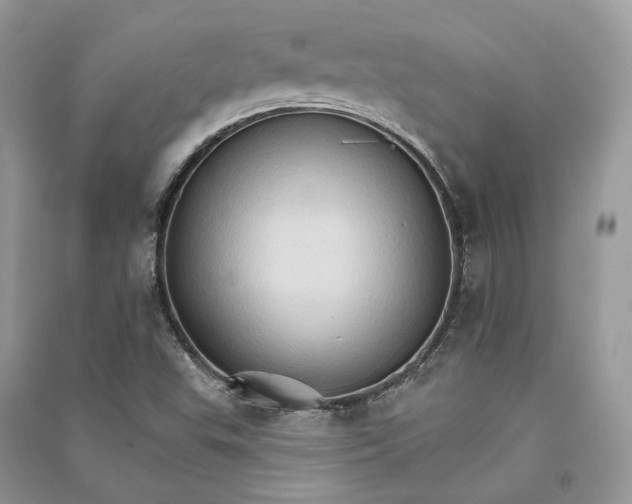 X0000090911503200708131402