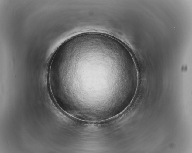 X0000090911504200708131402