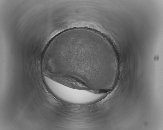 X0000090911505200708131402