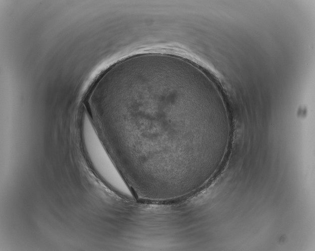 X0000090911506200708131402