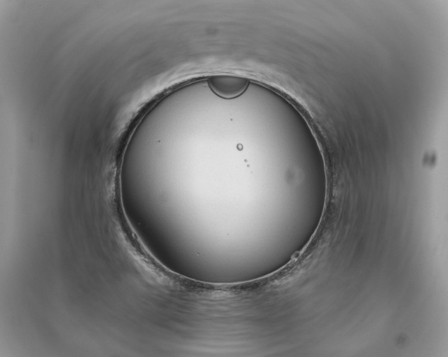 X0000090911507200708131402