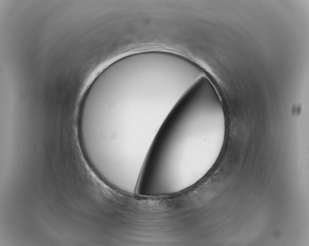 X0000090911508200708131402