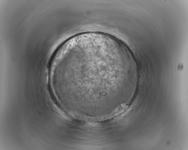 X0000090911509200708131402