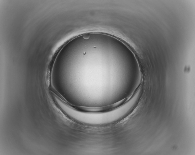 X0000090911510200708131402