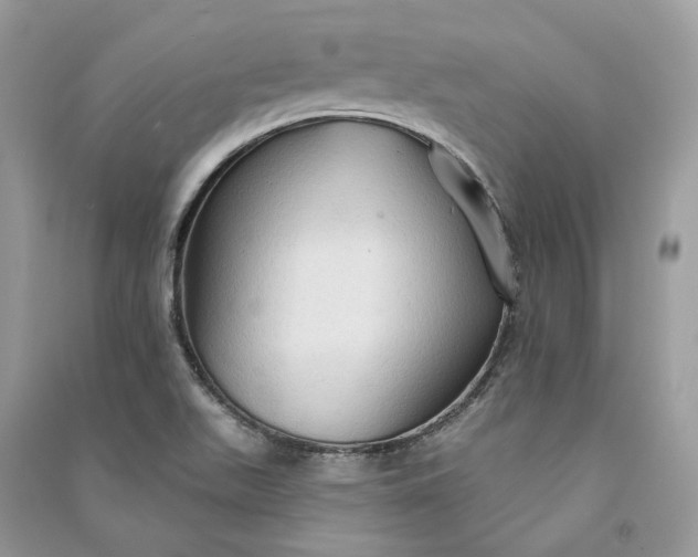 X0000090911511200708131402