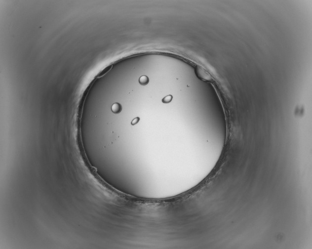 X0000090911512200708131402