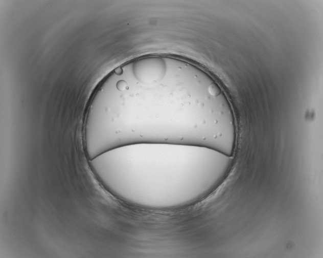 X0000090911513200708131402