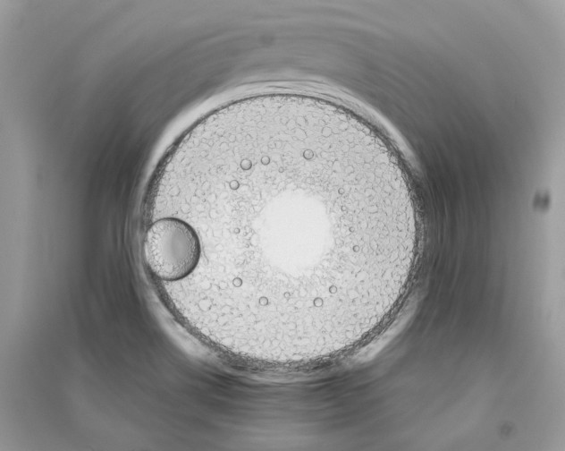 X0000090911514200708131402