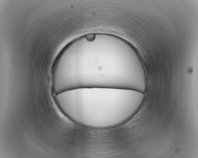 X0000090911515200708131402