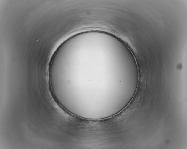 X0000090911516200708131402