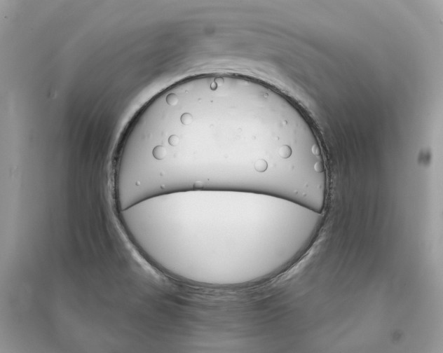 X0000090911517200708131402