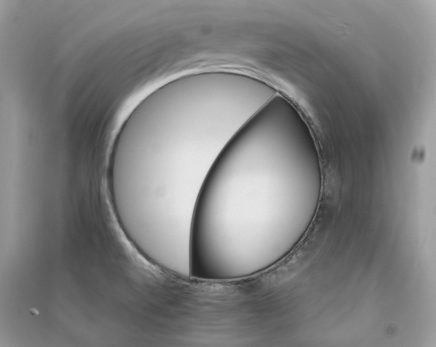 X0000090911520200708131402